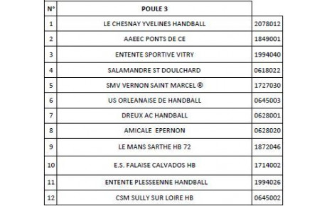 Les SM1 joueront en poule 3 la saison prochaine...
